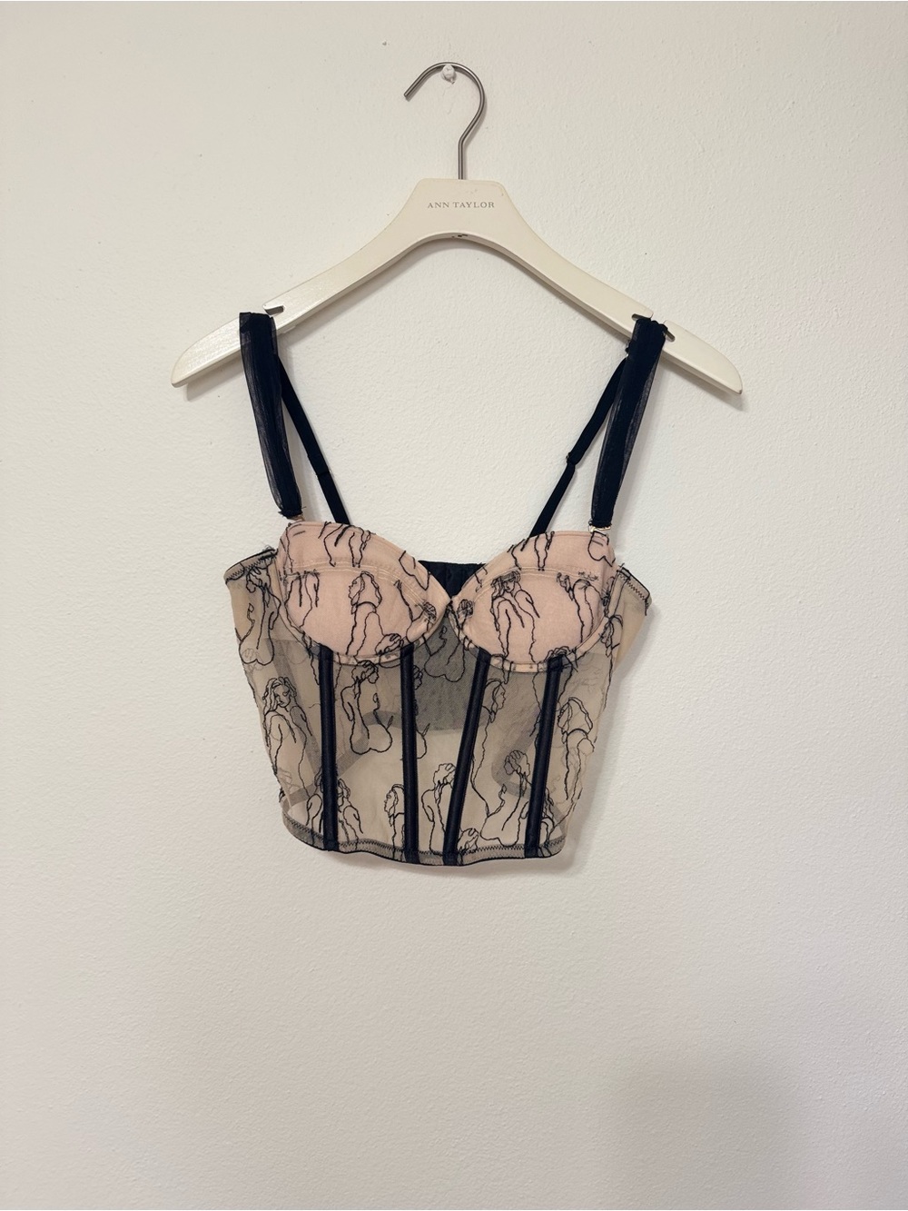 Feminine Silhouette Sheer Mesh Bustier with Blush Cups